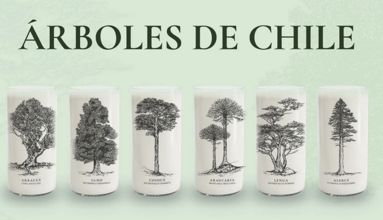 Árboles de chile